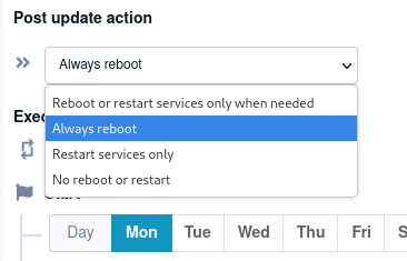 reboot restart option